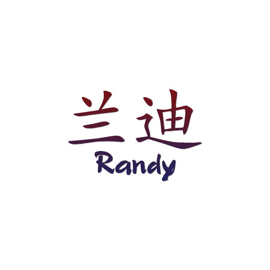 Chinese Symbol Randy Name - Decal Sticker - Multiple Patterns